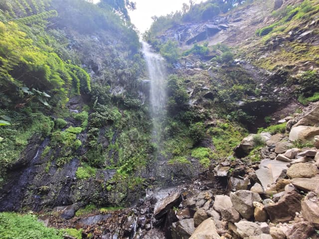 Panama Mountains, Coffee & Pacific Road Trip